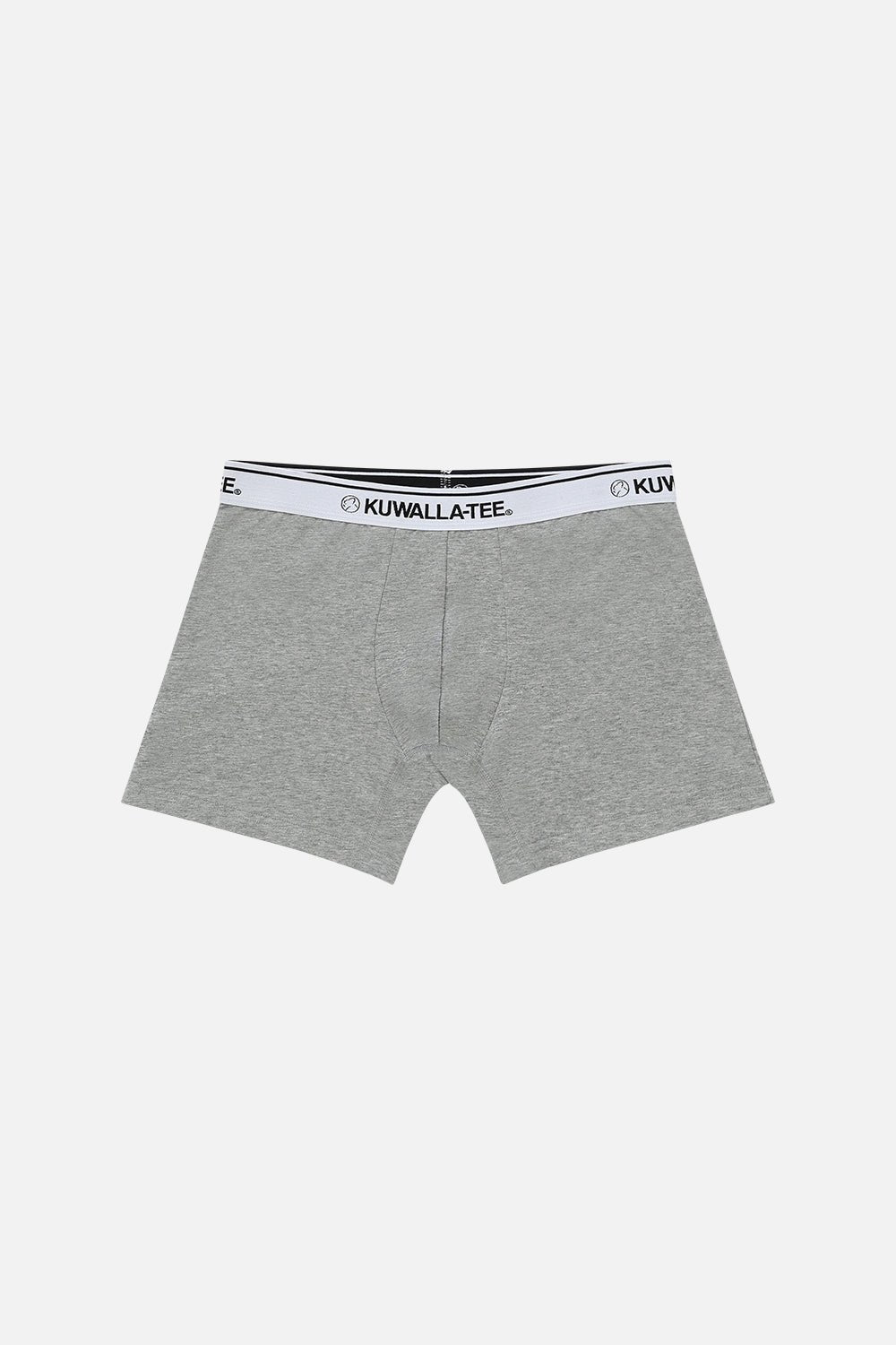 Boxer