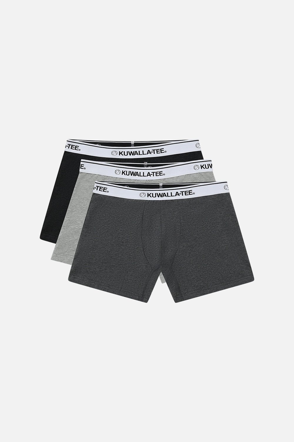 Boxer