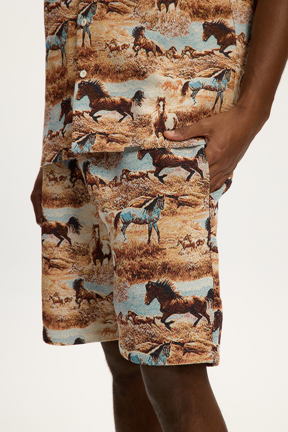 Tapestry Shorts