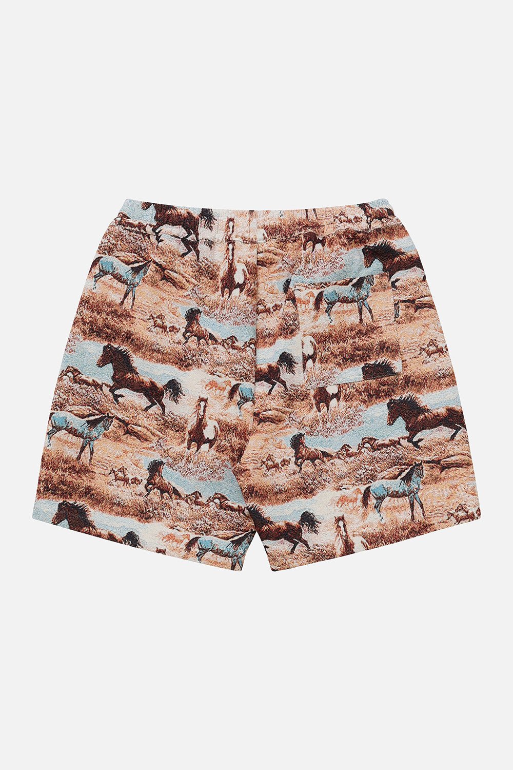 Tapestry Shorts
