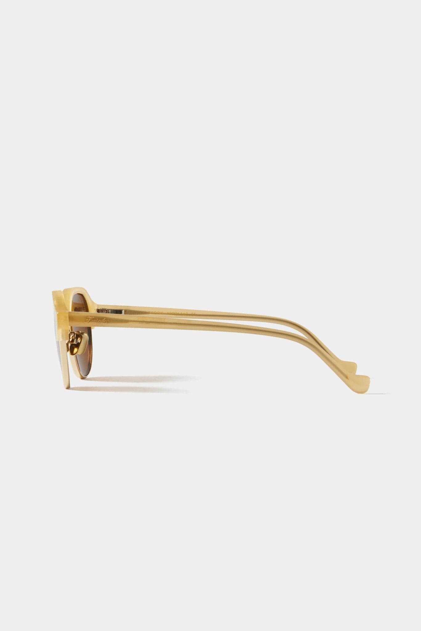 Teddy Sunglasses