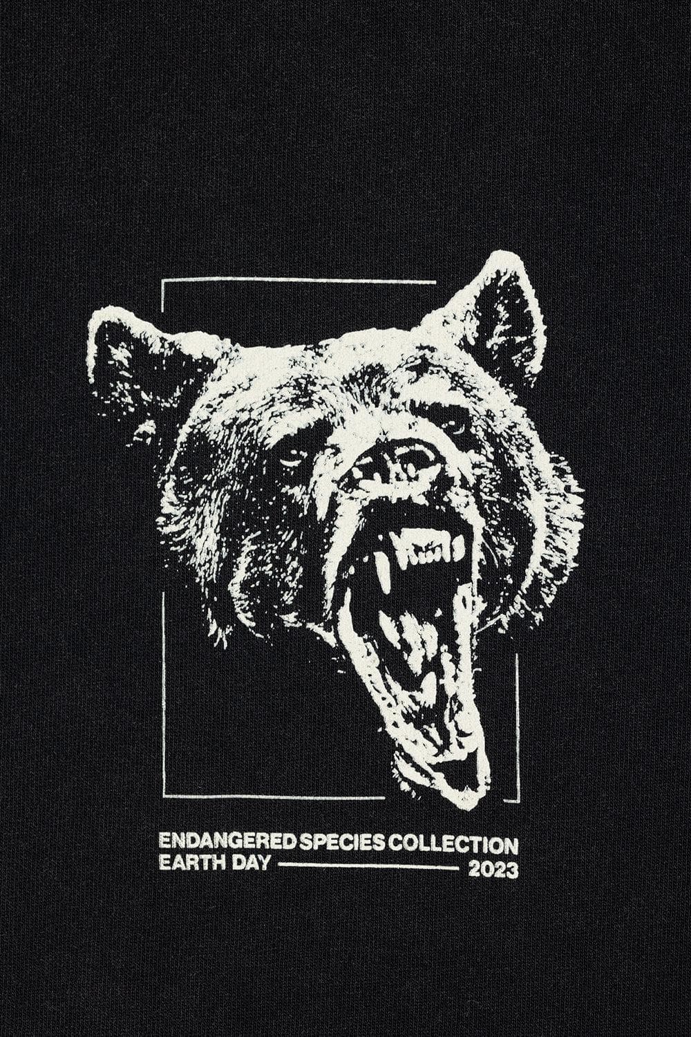 Grizzly Bear Endangered Species Tee